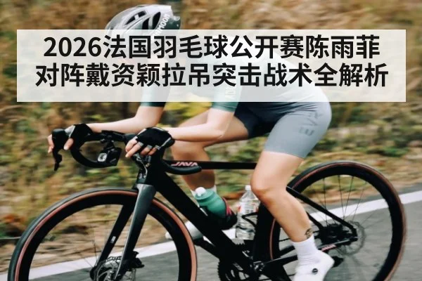 2026法国羽毛球公开赛陈雨菲对阵戴资颖拉吊突击战术全解析