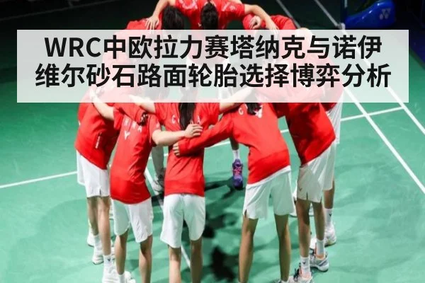 WRC中欧拉力赛塔纳克与诺伊维尔砂石路面轮胎选择博弈分析